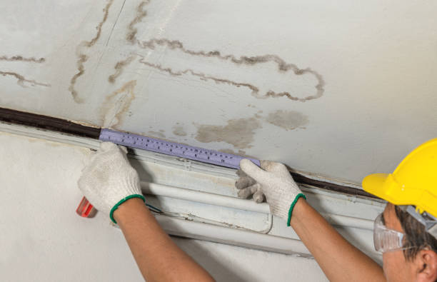 Reliable Water Damage Repair contractor in Hamilton, VA by Aqua Guard Water Damage